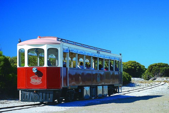 Rottnest Island Grand Tour Including Lunch and Historical Train Ride - Oliver Hill Battery: WWII tunnels and gun fortifications, with the views to match