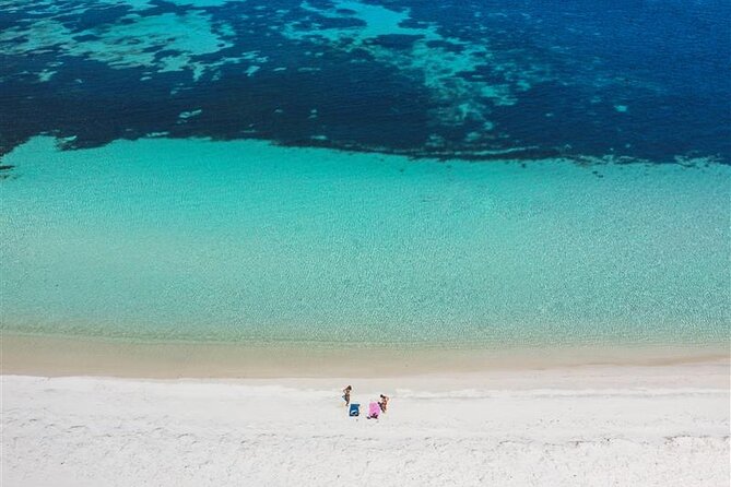 Rottnest Island Round Trip Ferry from Fremantle - Quokkas, turquoise water, and the beach-trail reality check