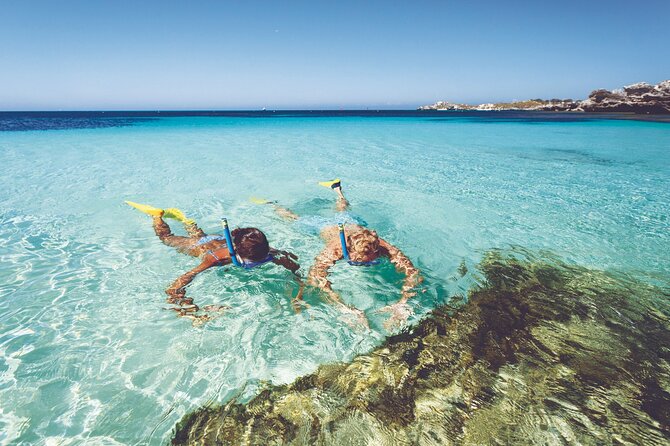 Rottnest Island Round-Trip Ferry from Perth - Key highlights you should know before you go