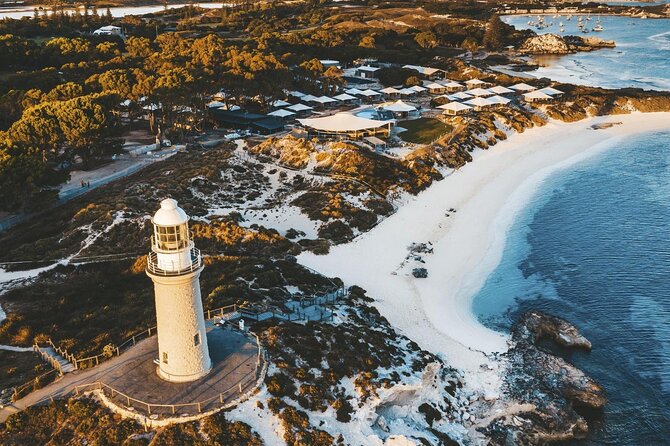 Rottnest Island Round-Trip Ferry from Perth - Quokkas and fur seals: wildlife time is the real itinerary