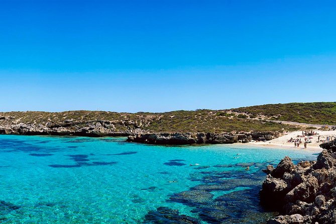 Rottnest Island Roundtrip Fast Ferry from Hillarys Boat Harbour - How to Get Around: E-Bikes, Regular Bikes, or the Shuttle