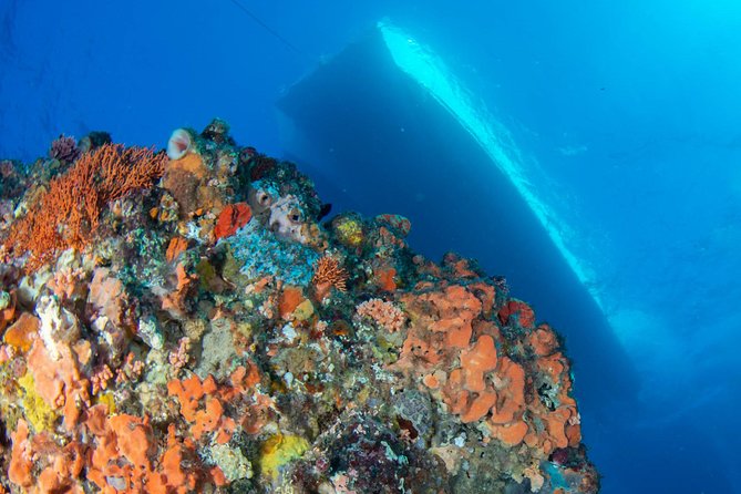 Rottnest Island scuba dive tour - Blue Destiny from Fremantle: what the 6 to 8 hour boat day is really like