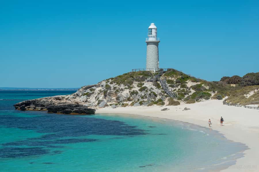 Rottnest Island Segway 1-Hour Settlement Tour - Key highlights you will feel on the ride