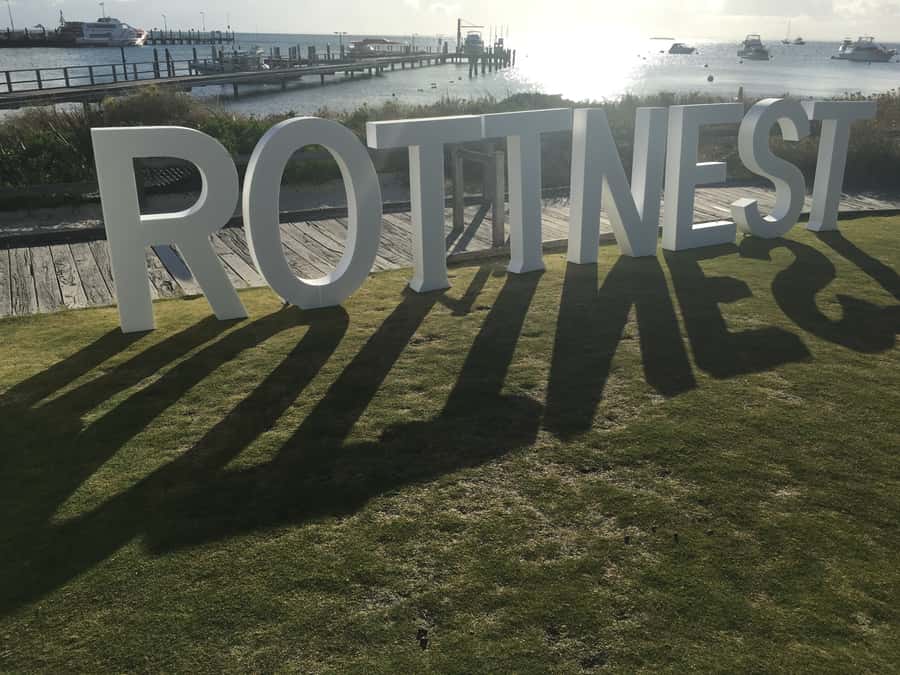 Rottnest Island Segway 1-Hour Settlement Tour - Quokkas and wildlife context: what you gain beyond scenery