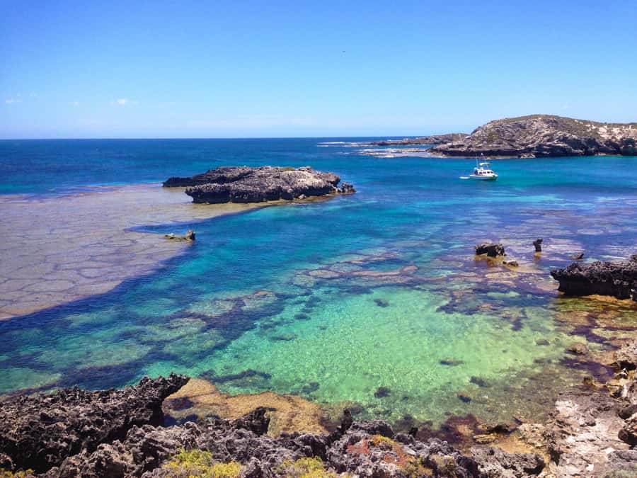 Rottnest Island Segway 1-Hour Settlement Tour - Price and value: why $69 can be a smart move