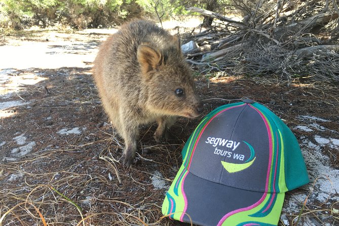 Rottnest Island Segway Tour: Fortress Adventure Tour - Who should book this Fortress Adventure Tour?