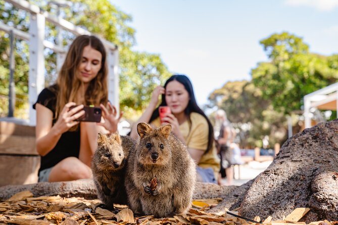 Rottnest Island Segway Tour: Settlement Explorer Tour - North Thomson settlement stories: where the history part becomes practical