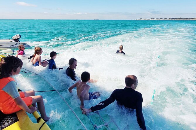 Rottnest Island 'Snorkel and Sail' - Key highlights worth booking for