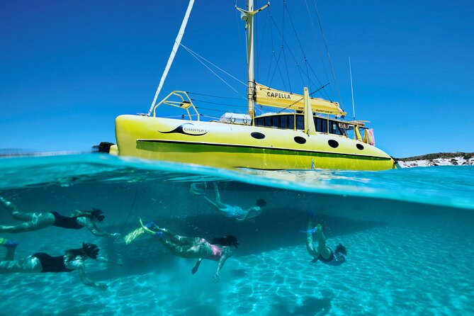 Rottnest Island 'Snorkel and Sail' - Snorkeling over coral, shells, and sea grass with up to 400 fish species