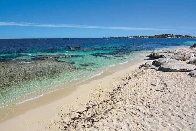 Rottnest Island: Tandem Skydive - Beach Landing: The Moment You Can Share With Friends