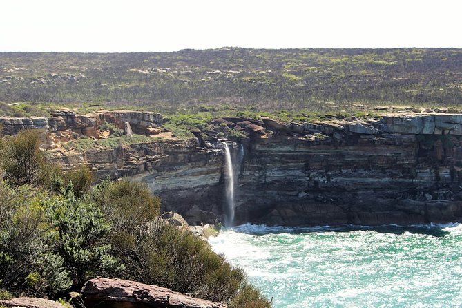 Royal National Park Private Tour - Wattamolla waterfall and lagoon: where the day slows down