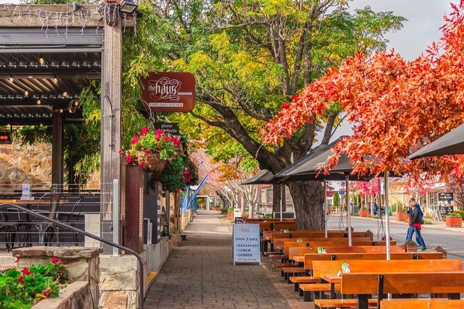 SA highlights incl Hahndorf, Victor Harbour, d'arenberg 'Cube' - Key things I’d watch for before you book