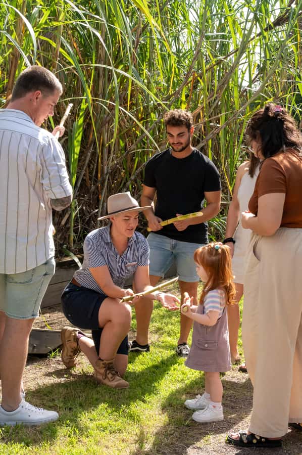Sarina: Guided Tour of the Sarina Sugar Shed with Tasting - Check in at the Sugar Shed, then get a feel for the place