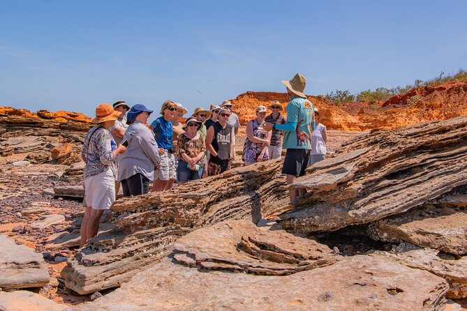 SCENIC AND PREHISTORIC CRUISE - Sparkling Wine & Gourmet Platters - Photography, Wildlife Scanning, and How to Get Good Value From It