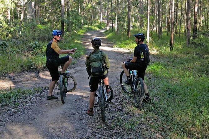 Scenic eBike of the Noosa Biosphere Trail Network - Key highlights worth knowing before you book