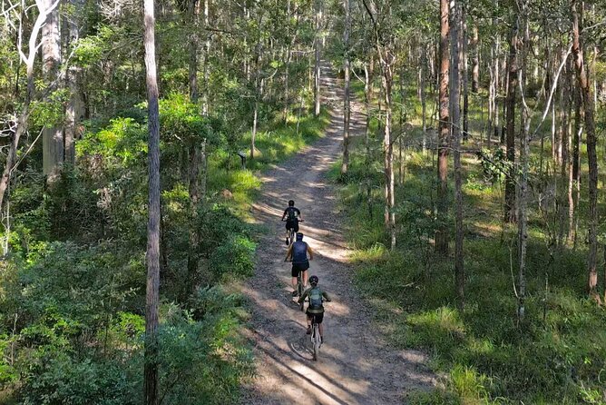 Scenic eBike of the Noosa Biosphere Trail Network - The 9:00am start near Earth and Ocean, and how to use the half-day timing