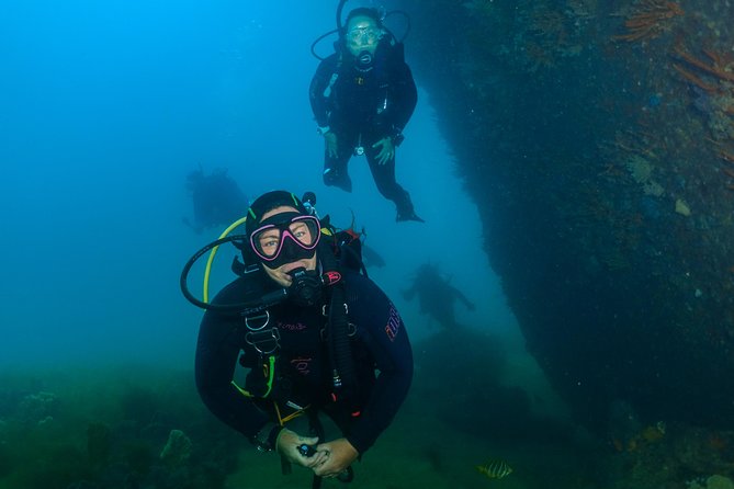 Scuba Dive The Beautiful Rottnest Island for Certified divers - Key highlights worth showing up for