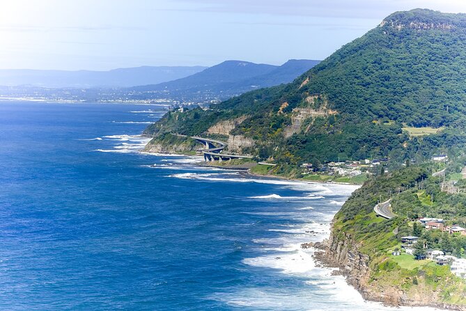 Sea Cliff Bridge, Kiama Blowhole, Beaches & Wildlife Small Group - Key highlights you’ll care about
