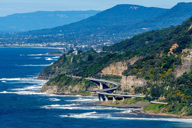 Sea Cliff Bridge, Kiama Blowhole, Beaches & Wildlife Small Group - From Sydney to the Illawarra Coast, without a big-bus headache