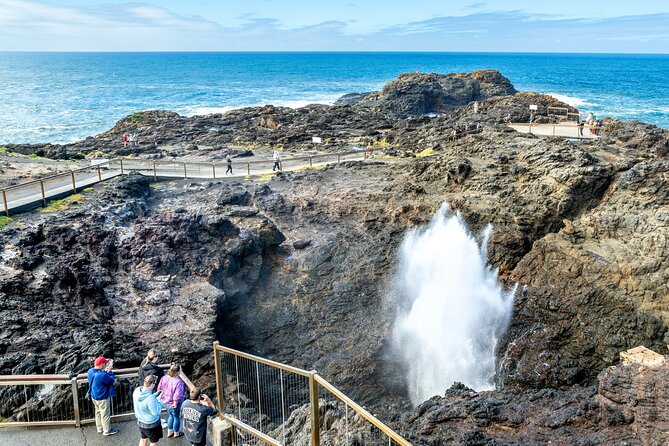 Sea Cliff Bridge, Kiama Blowhole, Beaches & Wildlife Small Group - Lunch, snacks, and what to pack for a 10-hour coast day