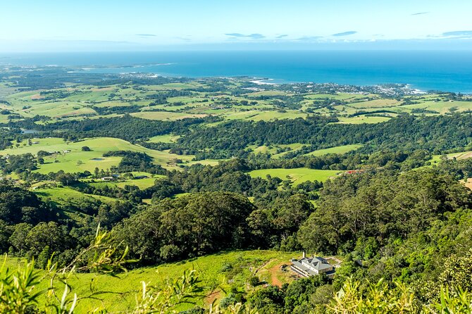 Sea Cliff Bridge, Kiama Blowhole, Beaches & Wildlife Small Group - Price and value: is $202.26 worth your day?