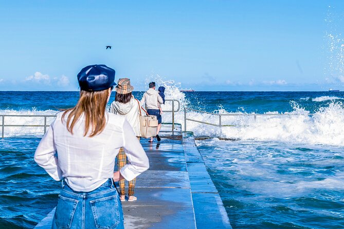 Sea Cliff Bridge, Kiama Blowhole, Beaches & Wildlife Small Group - Who should book this Kiama Coast tour, and who might not