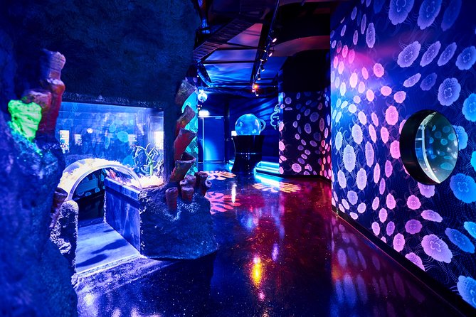 SEA LIFE Melbourne Aquarium Admission Ticket - Entering SEA LIFE Melbourne Aquarium with a mobile ticket mindset