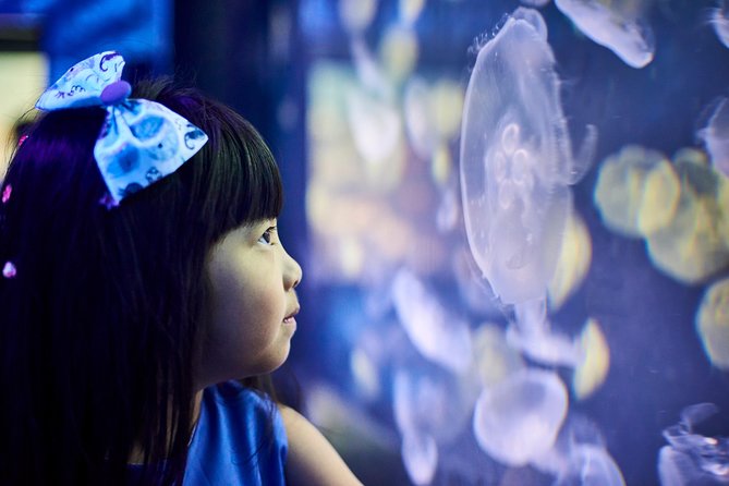 SEA LIFE Melbourne Aquarium Admission Ticket - Croc Lair and Bay of Rays: the huge and the graceful