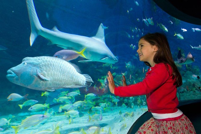 SEA LIFE Melbourne Aquarium Admission Ticket - Rainforest Adventure and the storybook zones kids love