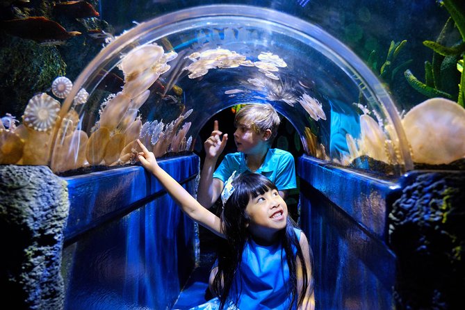 SEA LIFE Melbourne Aquarium Admission Ticket - The Yarra River setting, and what you can tack on nearby