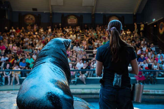 SEA LIFE Sunshine Coast Aquarium Entrance Ticket - Key highlights I’d plan around