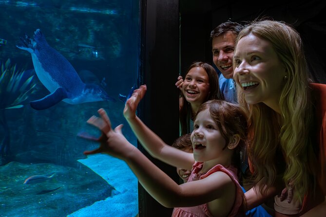 SEA LIFE Sunshine Coast Aquarium Entrance Ticket - Shark Shipwreck to Turtle Temple: plan your “zone circuit”