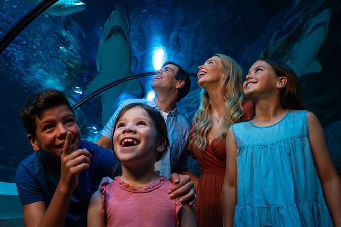 SEA LIFE Sunshine Coast Aquarium Entrance Ticket - Digital Photo Pass: a small add-on that changes how you remember it