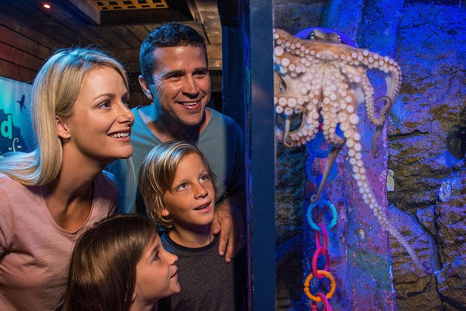SEA LIFE Sunshine Coast Aquarium Entrance Ticket - Entering the oceanarium tunnel for sharks and stingrays