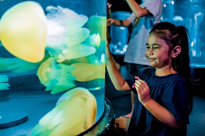 SEA LIFE Sydney Aquarium Entrance Ticket - SEA LIFE Sydney Aquarium in Darling Harbour: what makes it click