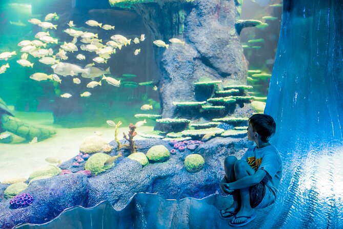 SEA LIFE Sydney Aquarium Entrance Ticket - Penguin Expedition: 43 F cold, snow flurries, and a short raft ride