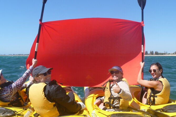 Seal Island and Penguin Island or Point Peron Sea Kayak Tour - Why This Sea Kayak Tour Hits Different Near Perth