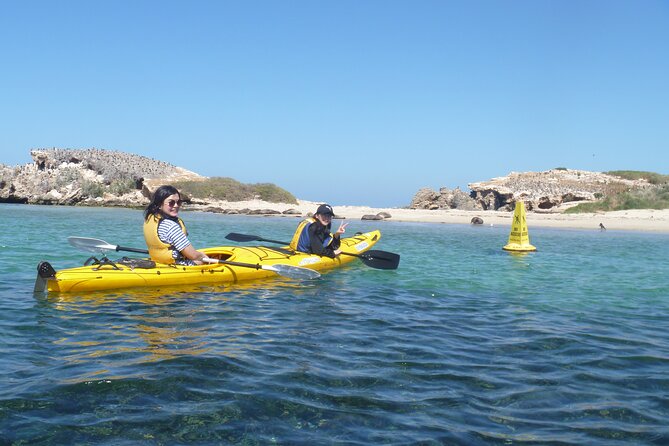 Seal Island and Penguin Island or Point Peron Sea Kayak Tour - Perth CBD Pickup, Drive Time, and How the Day Unfolds
