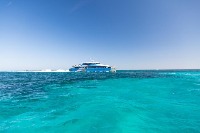 Sealink Bike & Ferry Package from Fremantle - Bike condition and weather: how to stay comfortable