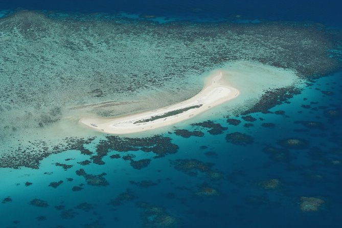 Seastar Luxury Outer Great Barrier Reef Island and Reef Tour - Key things that make this reef day work