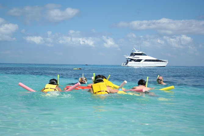 Seastar Luxury Outer Great Barrier Reef Island and Reef Tour - Optional scuba add-on: what’s included, what’s not