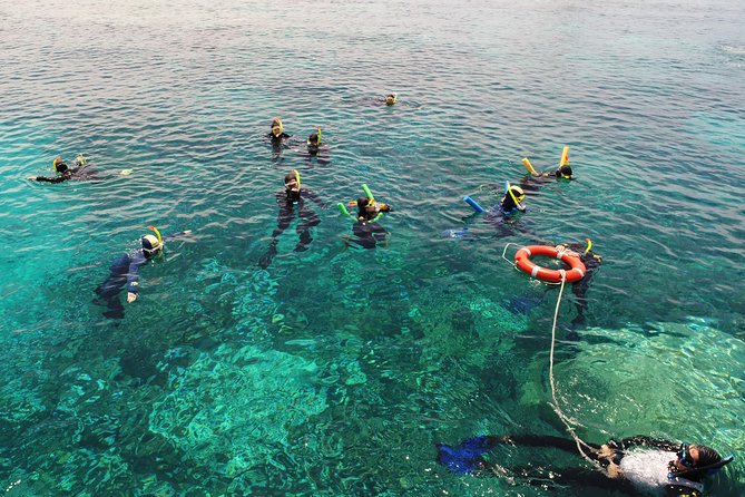 Seastar Luxury Outer Great Barrier Reef Island and Reef Tour - 7:30 AM check-in at Cairns Marlin Marina, finger and all