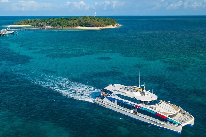 Seawalker Helmet Experience and Green Island Combo from Cairns - How the Cairns Catamaran Day Works (No Hotel Pickup, Realistic Timing)