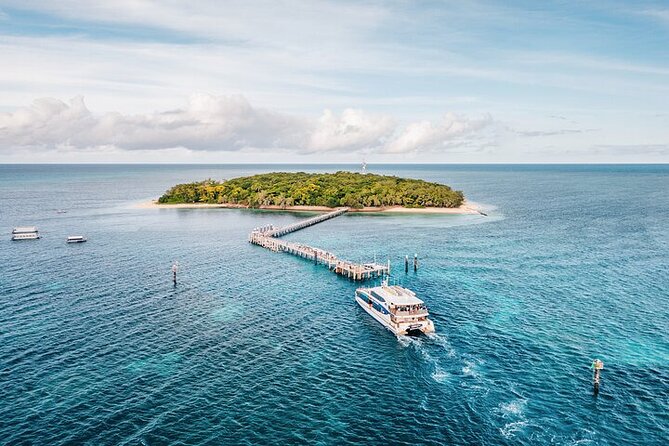 Seawalker Helmet Experience and Green Island Combo from Cairns - What You Can Expect Underwater: Coral, Fish, and Visibility Reality
