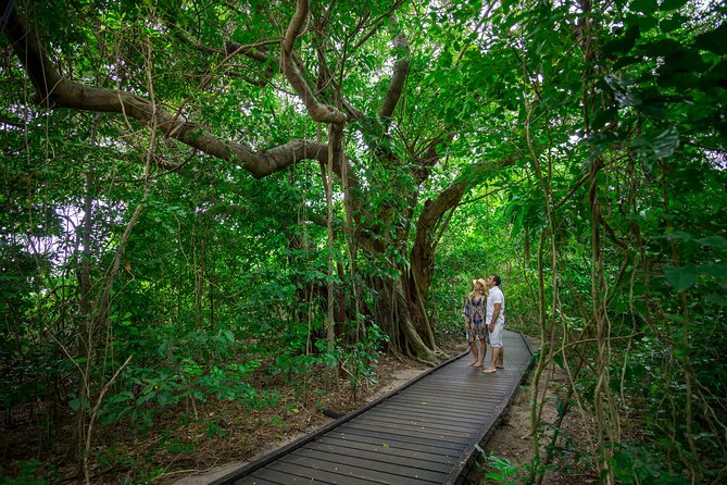 Seawalker Helmet Experience and Green Island Combo from Cairns - Green Island Time: Self-Guided Walks and a Pool Break
