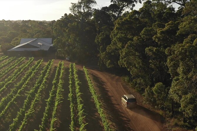 Secret Delights: Curated Wine, Coffee & Forest Experience - Brown Hill Estate: family-owned wine tasting with real faces