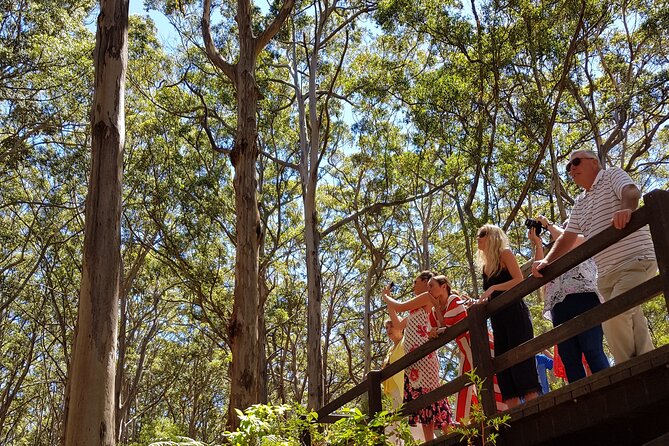 Secret Delights: Curated Wine, Coffee & Forest Experience - Berry Farm Cottage Garden Cafe lunch, plus local pantry shopping