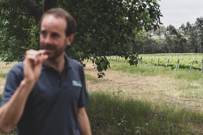 Secret Delights: Curated Wine, Coffee & Forest Experience - Value check: is $121.93 a good deal for what you get?