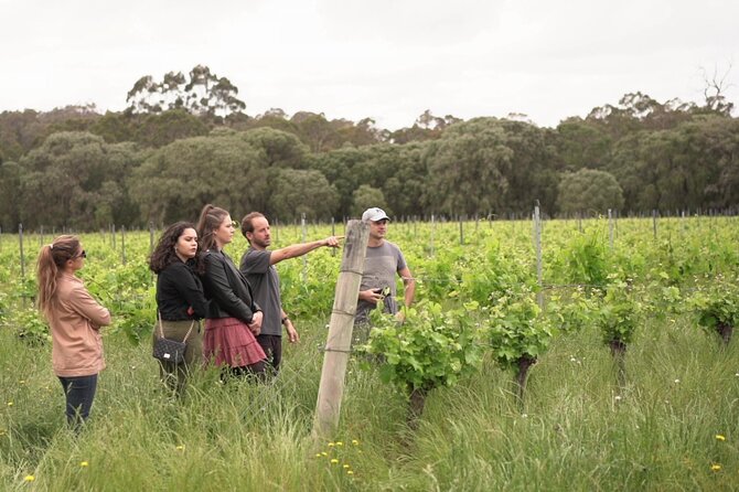 Secret Delights: Curated Wine, Coffee & Forest Experience - Yahava KoffeeWorks: where the tasting starts with roasting