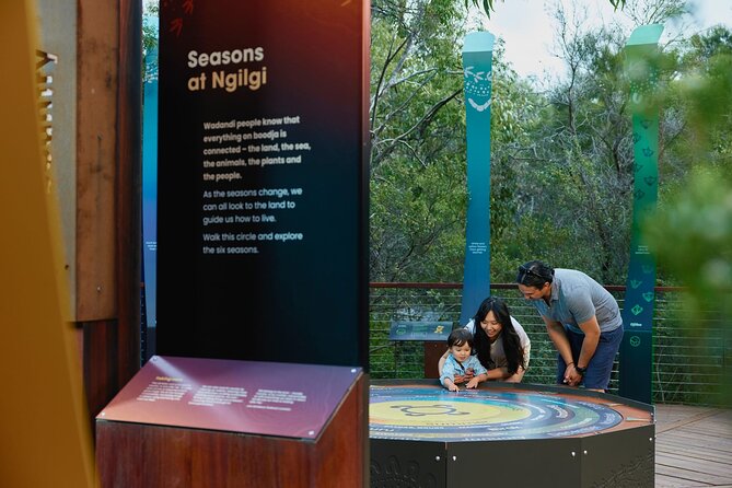 Self-Guided Ngilgi Cave Ancient Lands Experience - The Headline Highlights, From Cupid’s Corner to the Amphitheater Echo